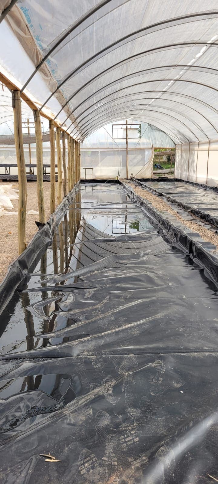 Impermeabilización en vivero hidropónico de Maipú